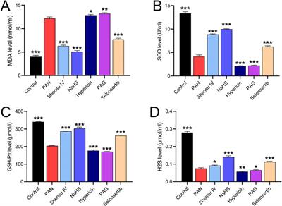 Shensu IV maintains the integrity of the glomerular filtration barrier and exerts renal protective effects by regulating endogenous hydrogen sulfide levels